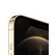 Apple iPhone 12 Pro Max (256GB) - Gold