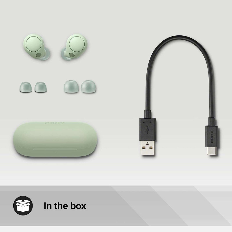 Sony WF-C700N Wireless Noise Cancelling Earbuds - Sage Green