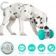 Interactive Treat Dispensing Toy for Dogs and Cats - Blue