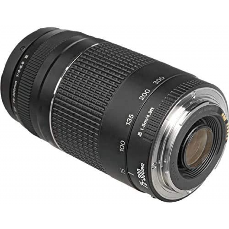 Canon EF 75-300mm F4.0-5.6 III Lens