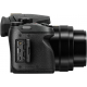 Panasonic Lumix DMC-FZ300 (12.1MP, 24x Optical Zoom) - Black