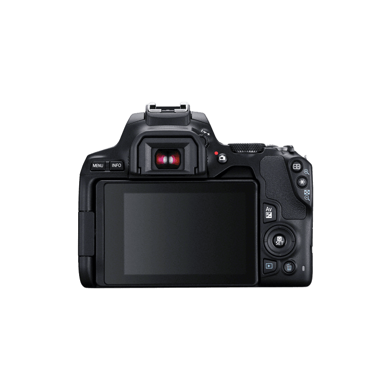 CANON EOS 250D DSLR Camera with EF-S 18-55 mm f/3.5-5.6 III Lens