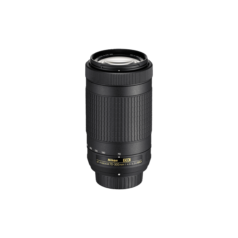 Nikon JAA829DA AF-P DX Nikkor 70-300 mm f/4.5-6.3G ED VR